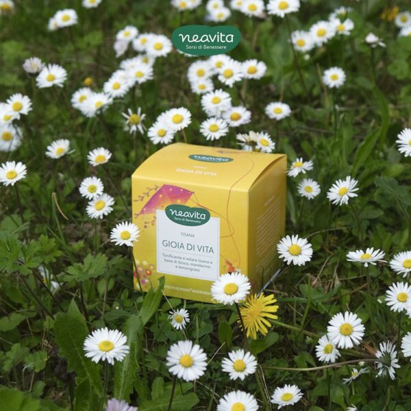 TISANA GIOIA DI VITA FILTROSCRIGNO | NEAVITA - immagine 3