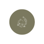 MAKE UP TERMALE • OMBRETTO COMPACT 2 gr (06) | FRAIS MONDE - immagine 2