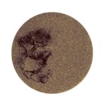 OMBRETTO IN CIALDA TWILIGHT | NEVE COSMETICS - immagine 3