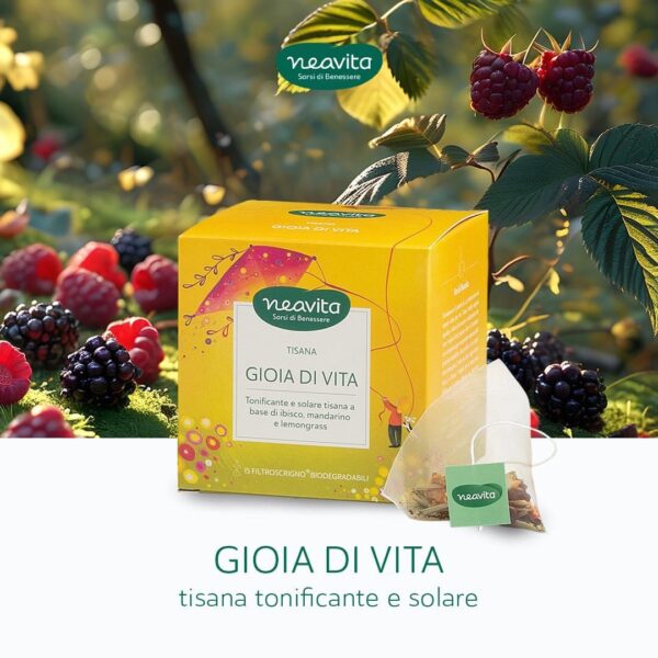 TISANA GIOIA DI VITA FILTROSCRIGNO | NEAVITA - immagine 2