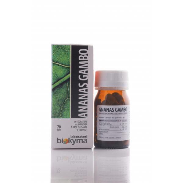 ANANAS GAMBO | BIOKYMA