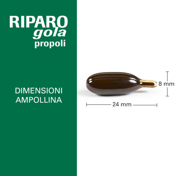 RIPARO GOLA PROPOLI | NATURANDO - immagine 3