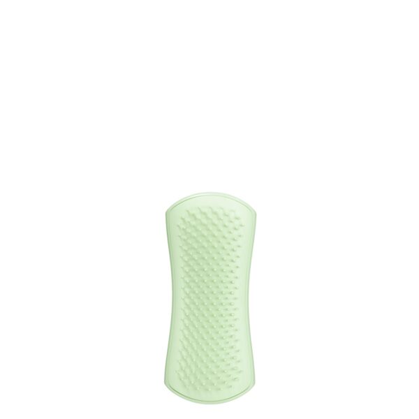 SPAZZOLA PER CANI PET TEEZER: PUPPY BRUSH GREEN | TANGLE TEEZER