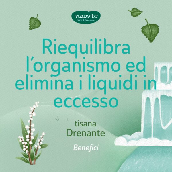 TISANA DRENANTE FILTROSCRIGNO | NEAVITA - immagine 2
