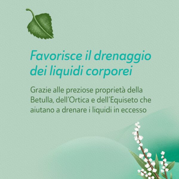 TISANA DRENANTE FILTROSCRIGNO | NEAVITA - immagine 3
