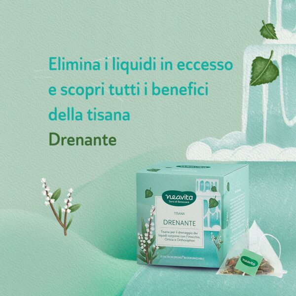 TISANA DRENANTE FILTROSCRIGNO | NEAVITA - immagine 5