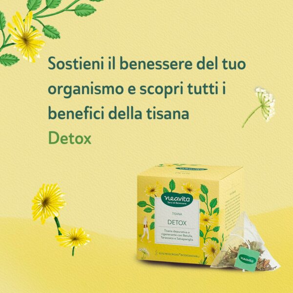 TISANA DETOX FILTROSCRIGNO | NEAVITA - immagine 6