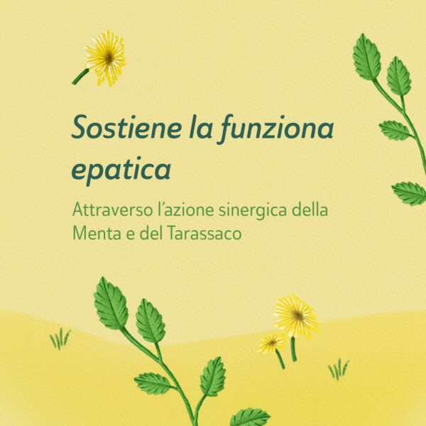 TISANA DETOX FILTROSCRIGNO | NEAVITA - immagine 4