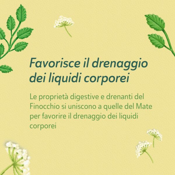 TISANA DETOX FILTROSCRIGNO | NEAVITA - immagine 5