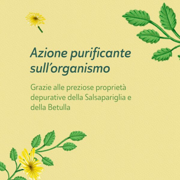 TISANA DETOX FILTROSCRIGNO | NEAVITA - immagine 3