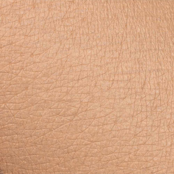 RISTRETTO CONCEALER LIGHT | NEVE COSMETICS - immagine 3