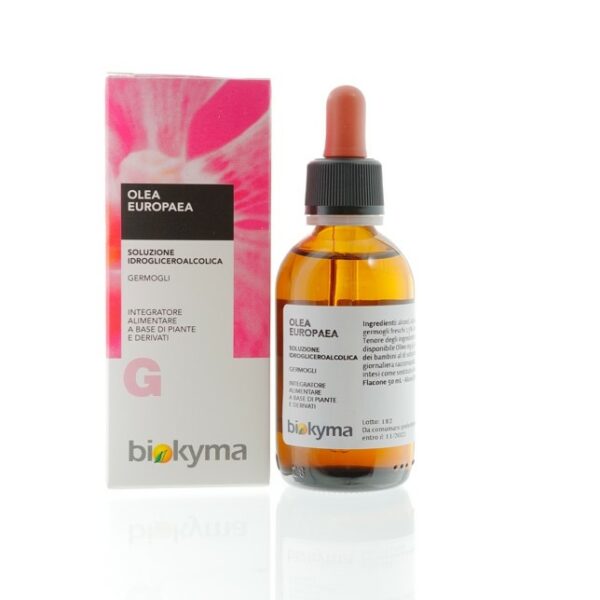 OLEA EUROPAEA GERMOGLI (OLIVO) | BIOKYMA