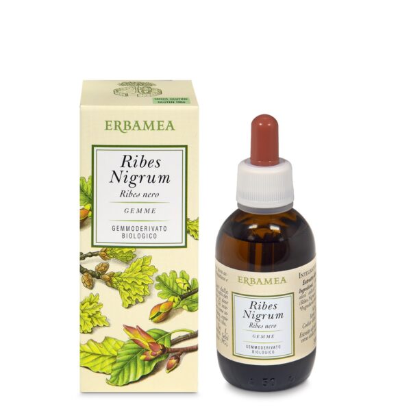 INTEGRATORE RIBES NIGRUM BIO | ERBAMEA