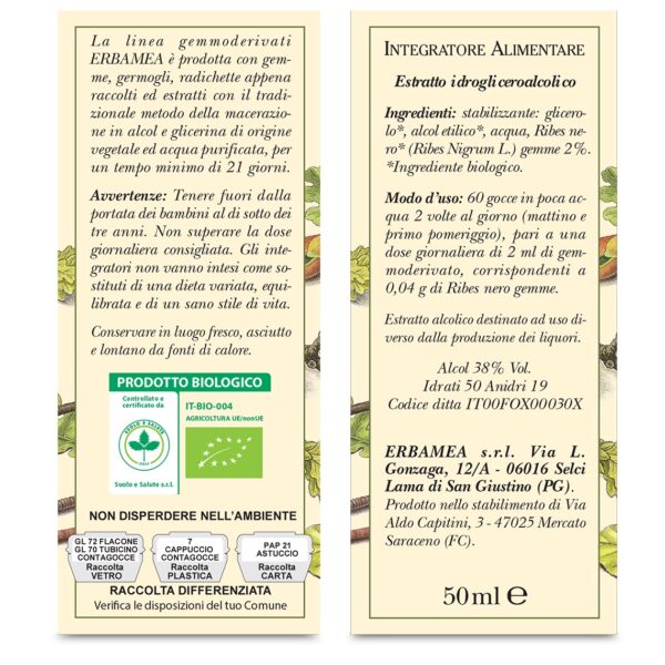 INTEGRATORE RIBES NIGRUM BIO | ERBAMEA - immagine 3