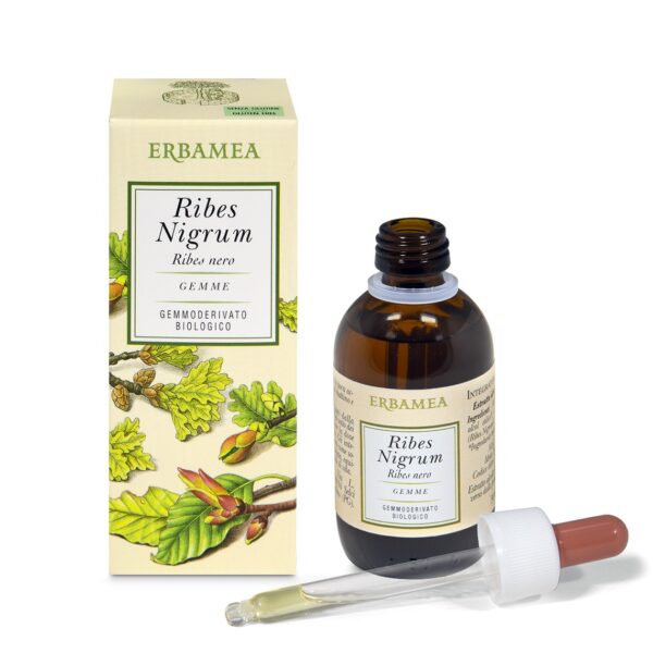 INTEGRATORE RIBES NIGRUM BIO | ERBAMEA - immagine 2