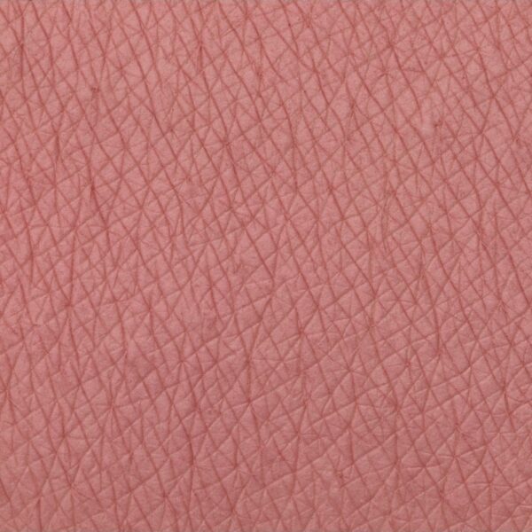 CIPRIA/BLUSH FLAT PERFECTION VELVET BLUSH | NEVE COSMETICS - immagine 2