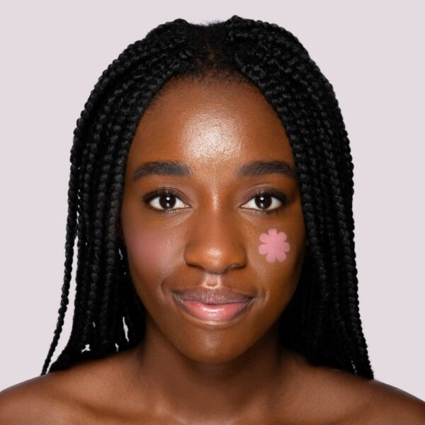 CIPRIA/BLUSH FLAT PERFECTION VELVET BLUSH | NEVE COSMETICS - immagine 9