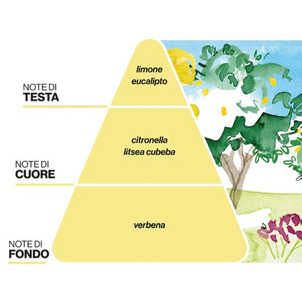 PAESAGGI OLFATTIVI • ALL'AGRUMETO PROFUMATORE D'AMBIENTE | DOMEA - immagine 3