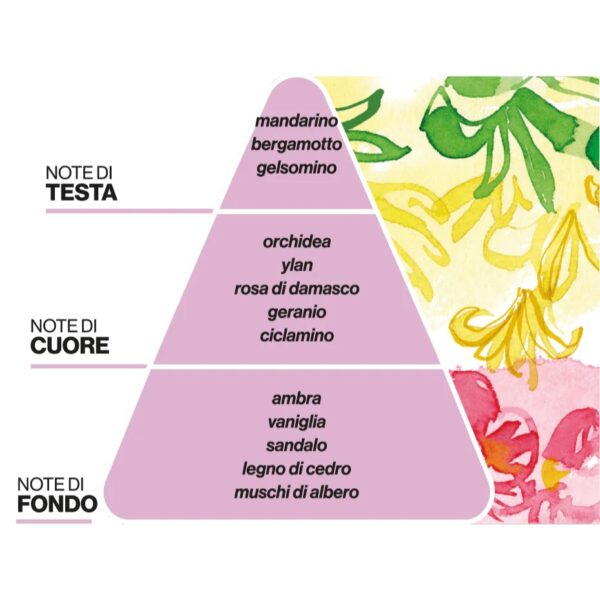PAESAGGI OLFATTIVI • AURORA FLOREALE PROFUMATORE D'AMBIENTE | DOMEA - immagine 3