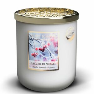 BACCHE DI NATALE • CANDELA IN GIARA 320g | HEART & HOME