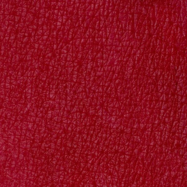 PASTELLO LABBRA WINTER BERRY | NEVE COSMETICS - immagine 8