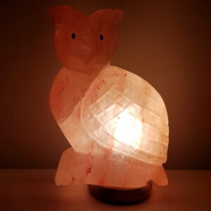 LAMPADA DI SALE HIMALAYANO ROSA NATURALE A FORMA DI GUFO 3Kg | LEDLEDITALIA