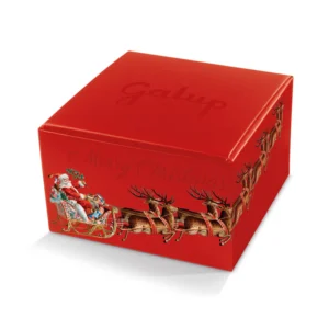 CHRISTMAS EDITION • PANETTONE PARADISO 750g | GALUP