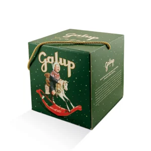 TOYS EDITION • PANDORO GRAN GALUP 750g | GALUP