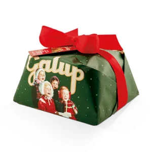 TOYS EDITION • PANETTONE CON GOCCE DI CIOCCOLATO FONDENTE, FARCITO CON CREMA AL PISTACCHIO 900g | GALUP