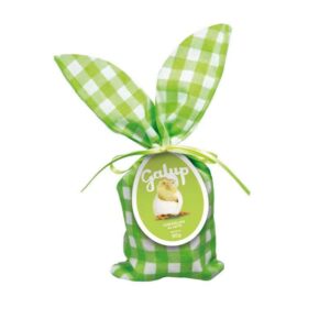 MINI UOVO CIOCCOLATO AL LATTE 80g | GALUP