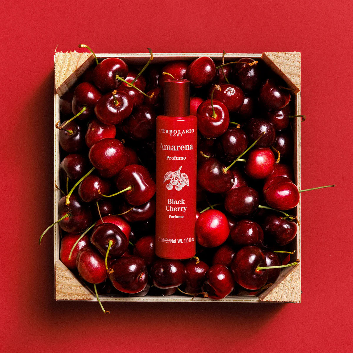 AMARENA • PROFUMO 50 ml | L’ERBOLARIO - immagine 2