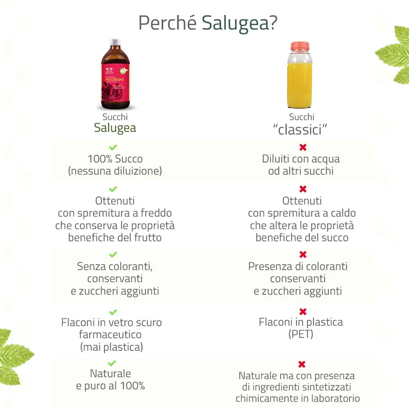 SUCCO DI MELOGRANO BIO | SALUGEA - immagine 3